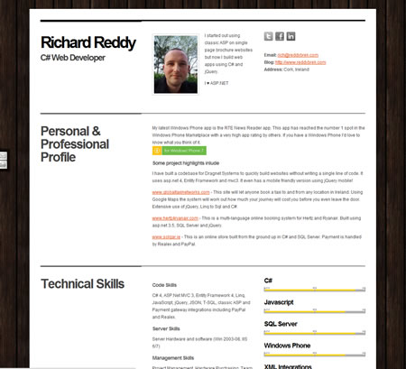 richard reddy .net web developer